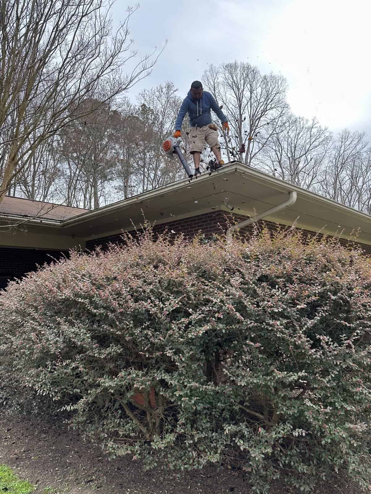 Gutter cleaning in Raleigh & Durham NC – ProGreen technician clearing gutters and downspouts on a home