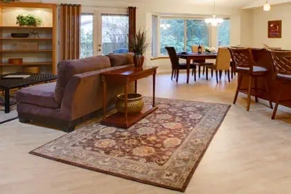 Professional rug cleaning services Durham, NC for deep, lasting cleanliness