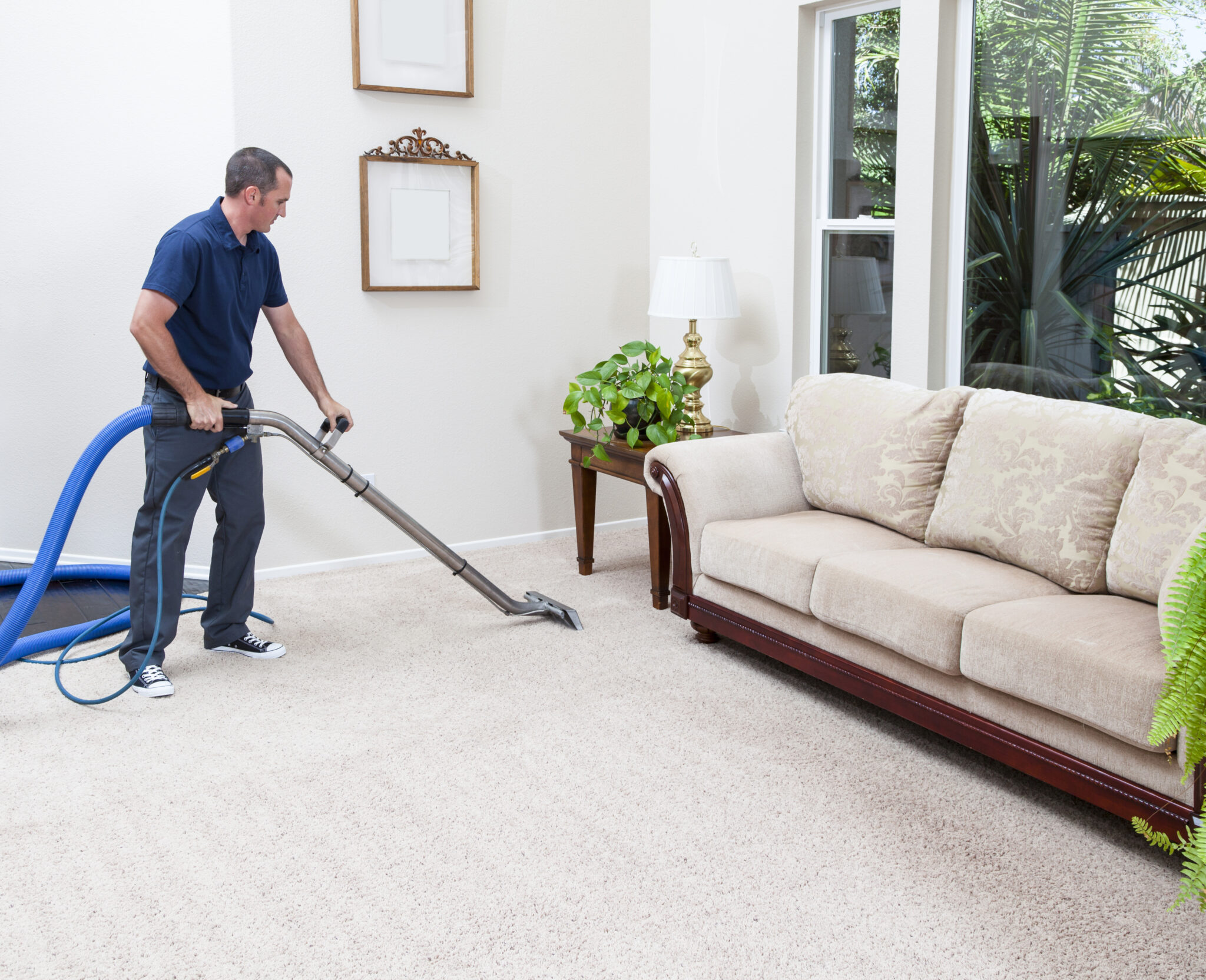 Professional carpet cleaning durham nc