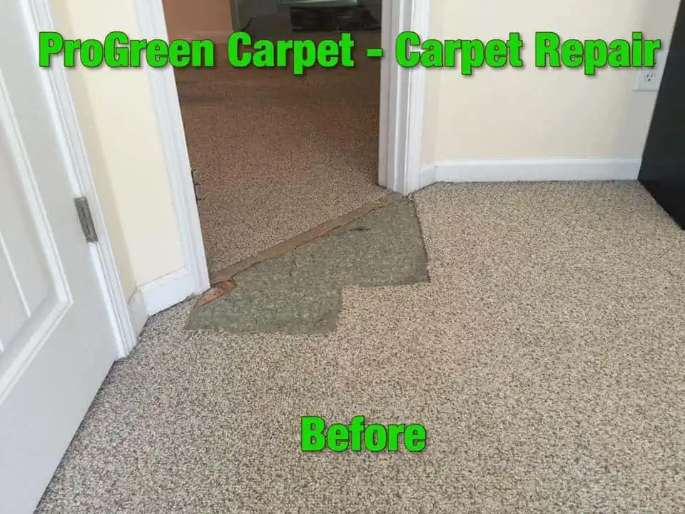 ProGreen Carpet