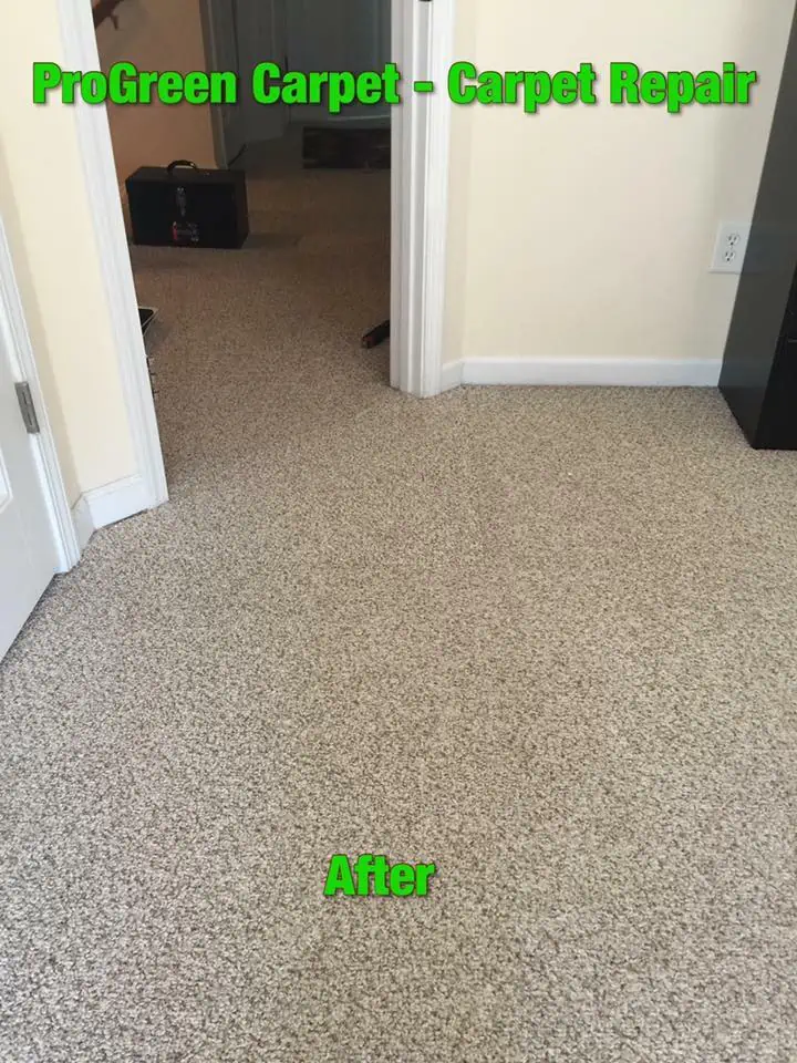 ProGreen Carpet