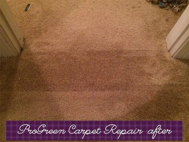 ProGreen Carpet