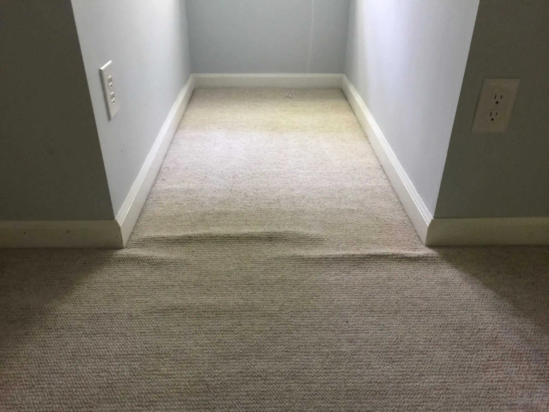 ProGreen Carpet