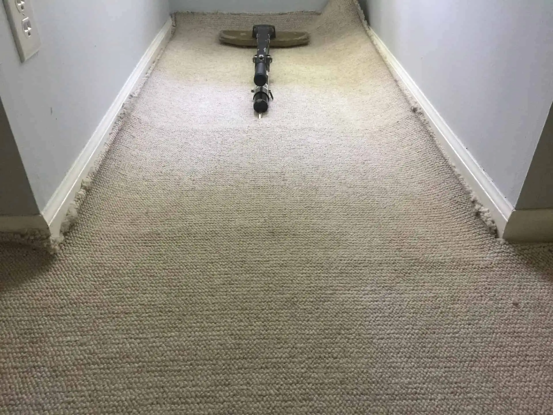 ProGreen Carpet