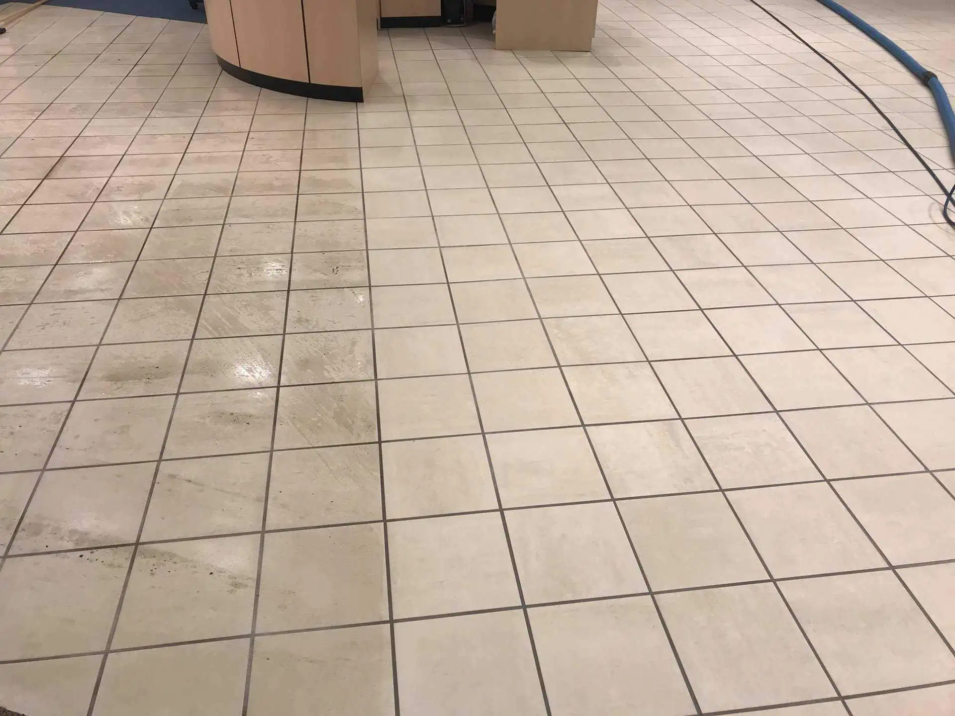 ProGreen Carpet