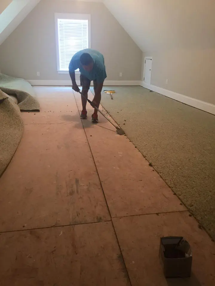 ProGreen Carpet - Floor Squeak Repair 2