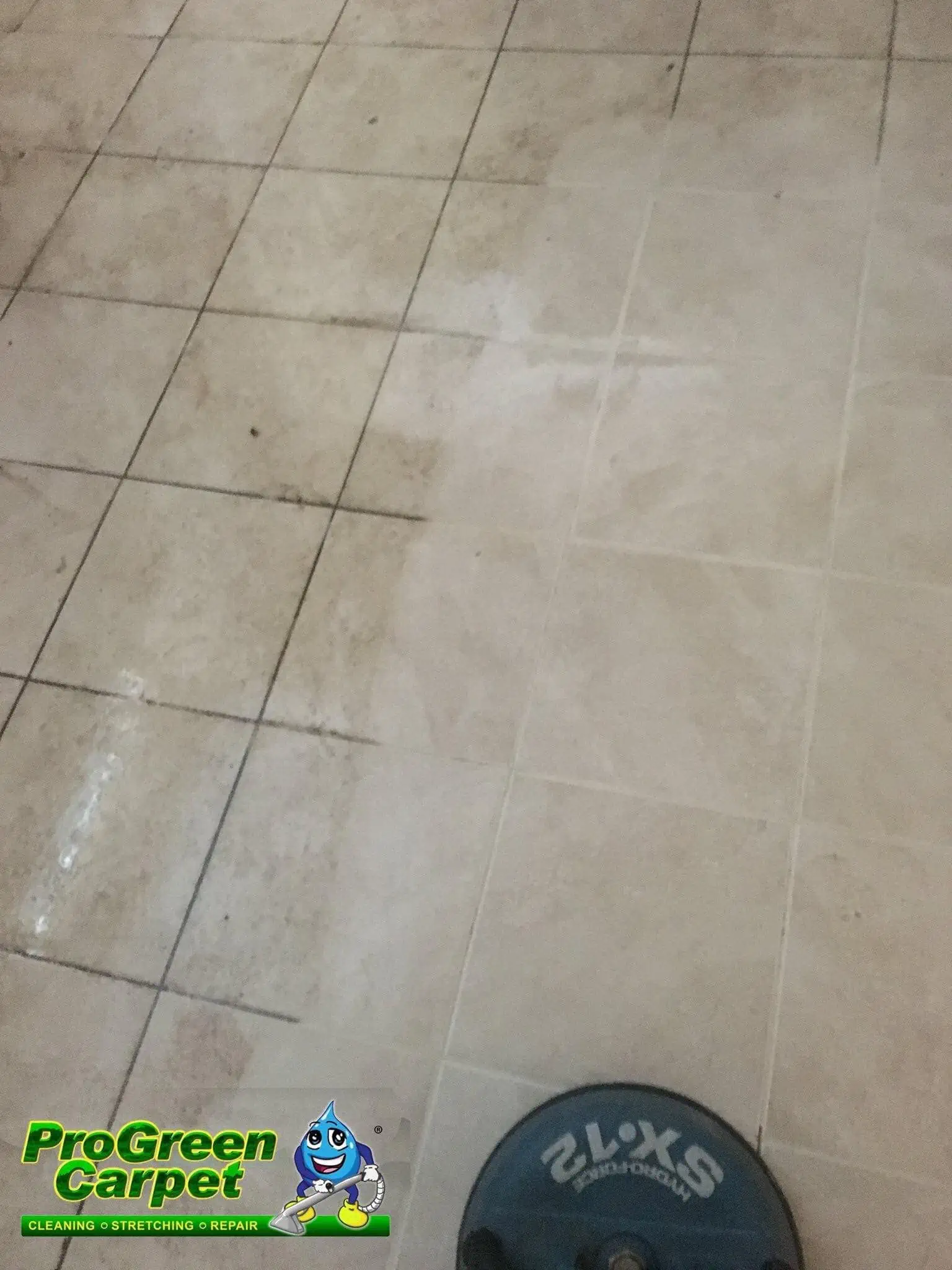 ProGreen Carpet