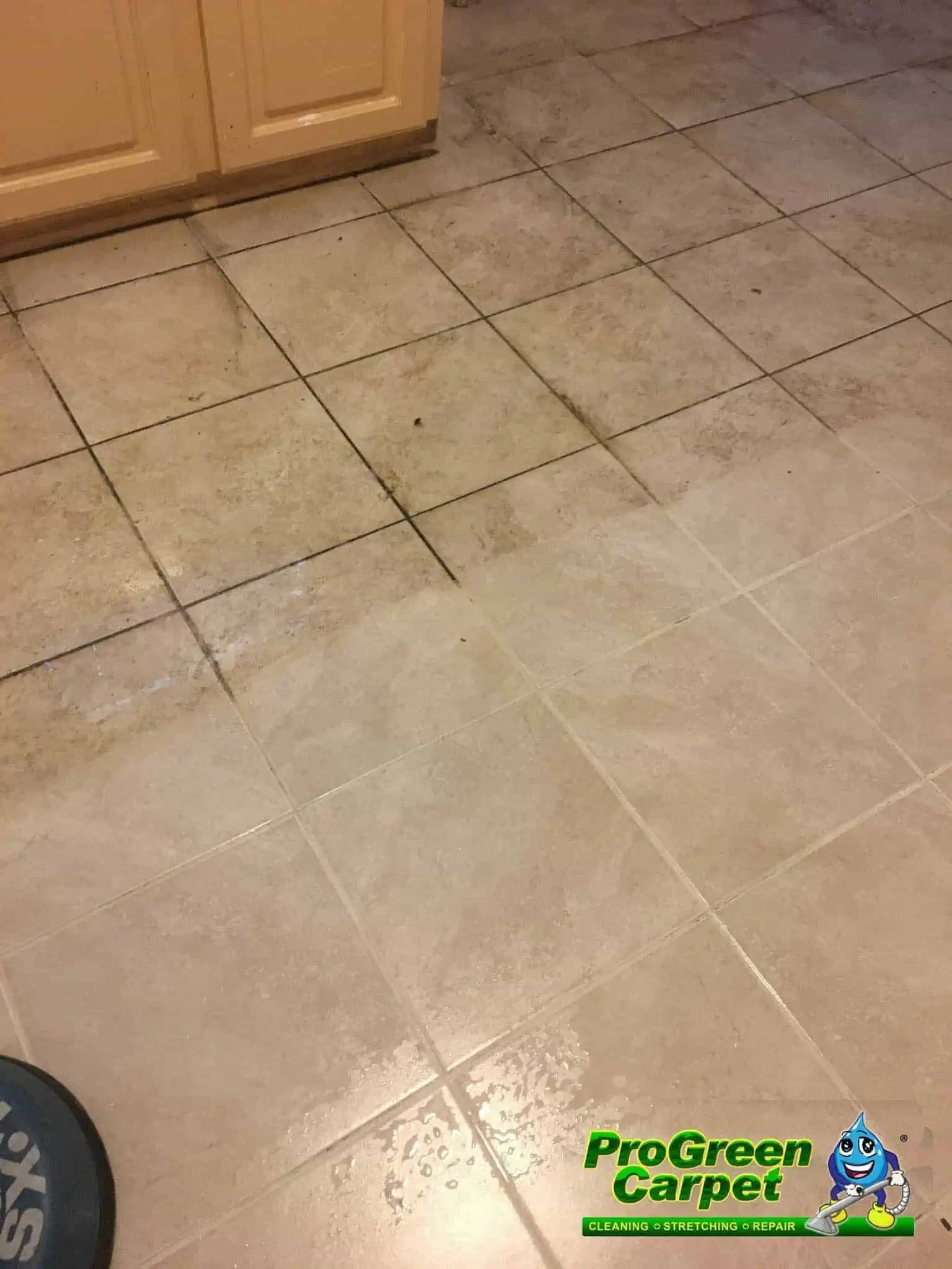 ProGreen Carpet