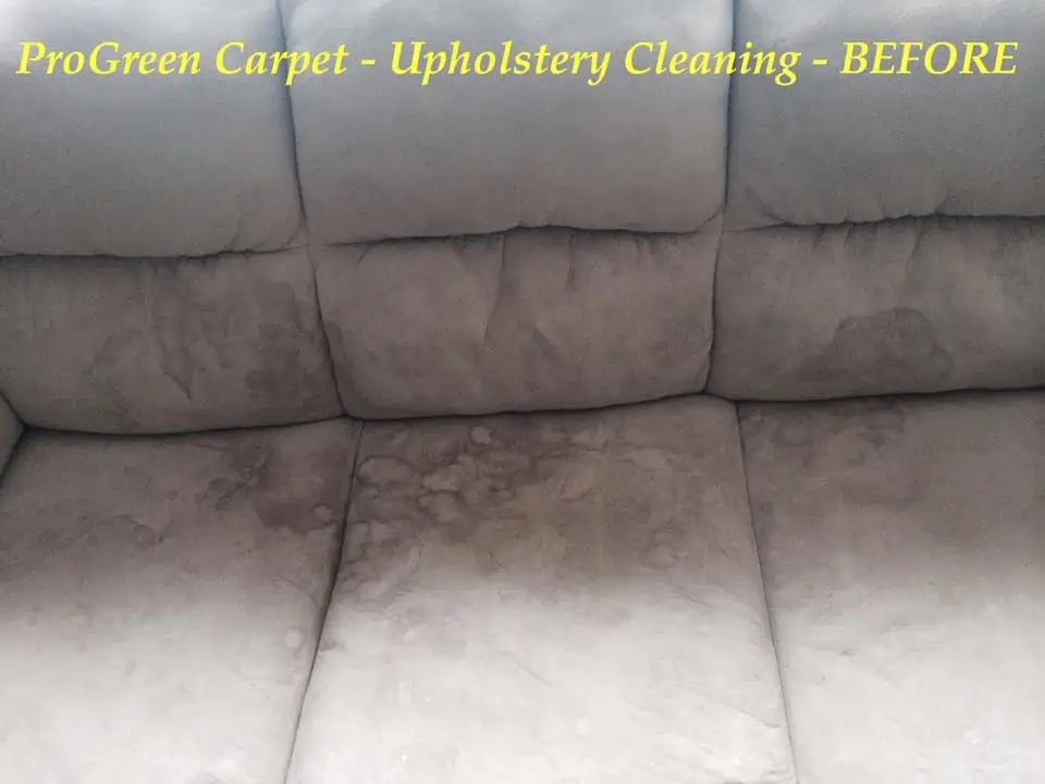 ProGreen Carpet