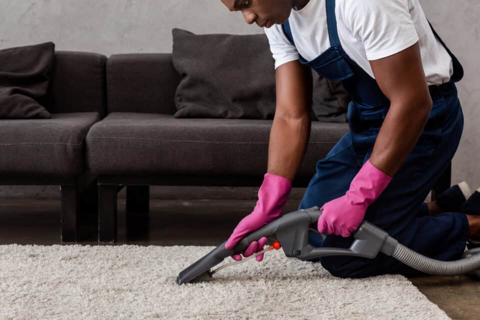 Are Professional Carpet Cleaners Better Than Doing It Yourself?