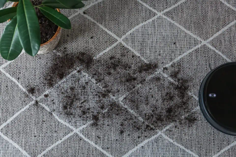 what are the most common signs your carpet needs repair