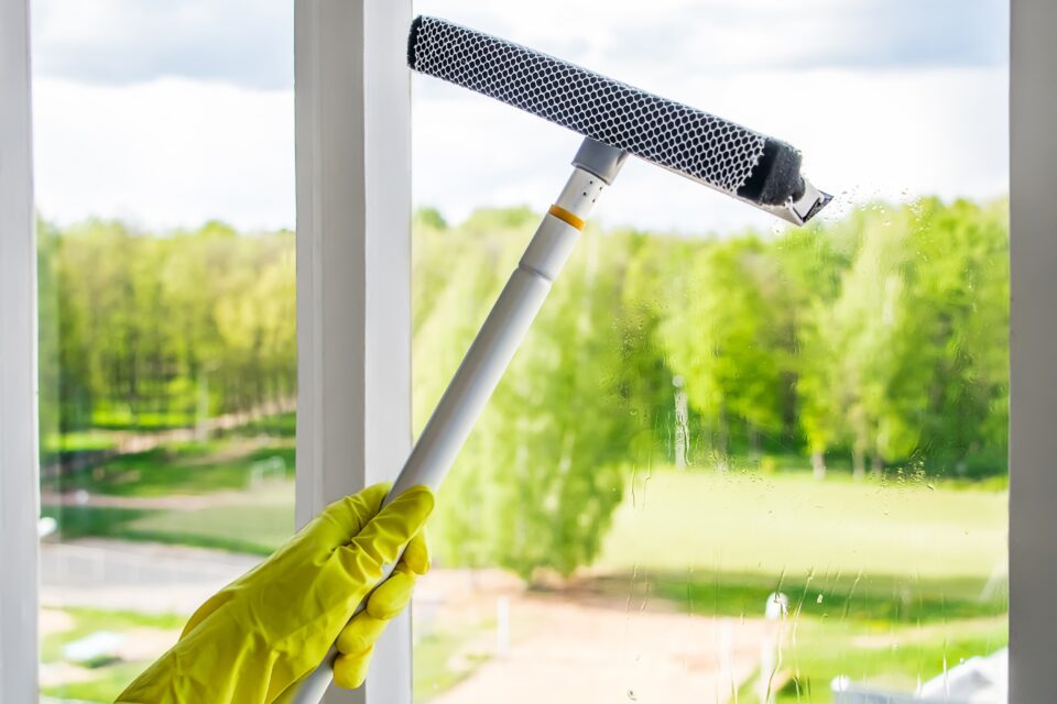 why is professional window cleaning worth it